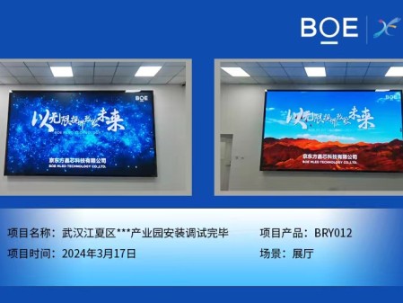 武漢江夏區(qū)**產(chǎn)業(yè)園展廳BRY012安裝調(diào)試完畢