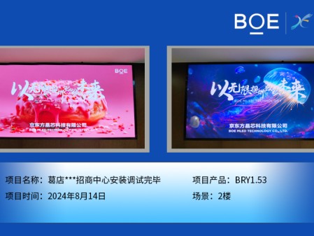 葛店***招商中心安裝調(diào)試完畢