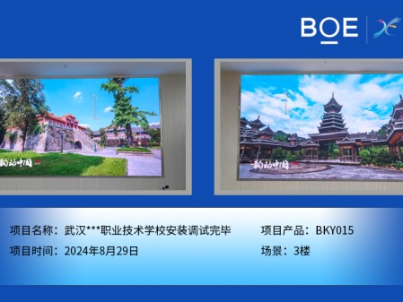 武漢***職業(yè)技術(shù)學(xué)校安裝調(diào)試完畢