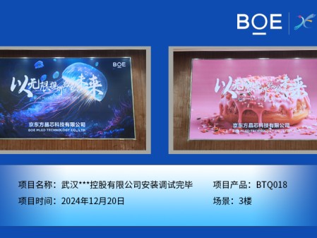 武漢***控股有限公司安裝調(diào)試完畢